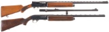 Two Semi-Automatic Shotguns