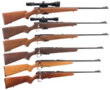 Six Bolt Action Rifles