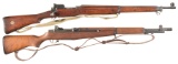 Two Military Rifles