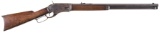 Whitney-Kennedy Lever Action Rifle
