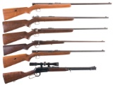 Six Sporting Long Guns