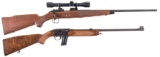Two Rifles
