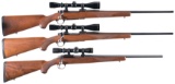 Three Scoped Ruger Bolt Action Rifles