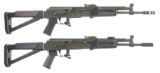 Two Semi-Automatic Carbines