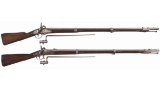 Two U.S. Springfield Percussion Conversion Muskets