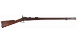 Springfield Armory M1873 Trapdoor Rifle with Metcalfe Device