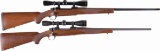 Two Scoped Ruger Bolt Action Rifles