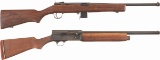 Two American Semi-Automatic Long Guns