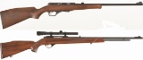 Two Semi-Automatic Rimfire Rifles