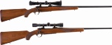 Two Ruger M77 Bolt Action Rifles with Scopes