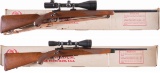 Two Scoped Ruger Bolt Action Rifles with Boxes