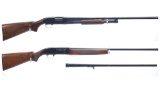 Two Winchester Shotguns