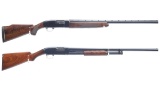 Two Winchester Shotguns