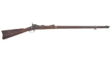 U.S. Springfield Model 1880 Trapdoor Rod Bayonet Trials Rifle