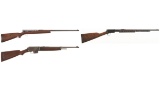 Three Winchester Sporting Rifles