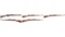Four .22 Caliber Bolt Action Training Rifles and One Air Rifle