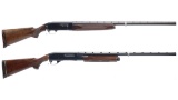 Two Shotguns