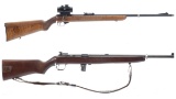 Two Rimfire Rifles