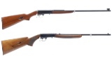 Two Semi-Automatic Rimfire Rifles