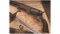 Texas Confederate Cavalryman's Colt Walker Revolver