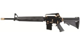 Colt M16A2 Automatic Rifle/Machine Gun - Unavailable on Proxibid
