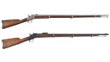 Two Remington Rolling Block Rifles