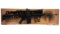 DPMS Panther Arms LR-308 Semi-Automatic Rifle with Box