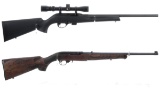 Two Semi-Automatic Rifles