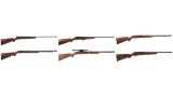 Six Semi-Automatic Rimfire Rifles