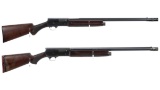 Two Semi-Automatic Shotguns