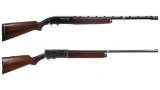 Two Semi-Automatic Shotguns