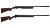 Two Semi-Automatic Shotguns