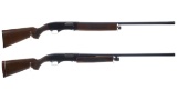 Two Winchester Shotguns