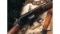 Winchester Model 1876 .50 Express Rifle