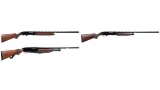 Three Winchester Shotguns