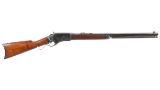 Whitney-Kennedy Lever Action Rifle with Double Set Triggers