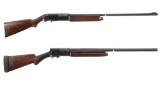 Two Semi-Automatic Shotguns