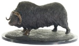 Musk Ox Bronze by Paul Harder