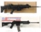 Two Semi-Automatic Rimfire Rifles with Boxes