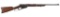 Russian Contract Winchester Model 1895 Lever Action Musket