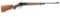 Winchester Deluxe Model 71 Lever Action Rifle