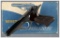 Whitney Wolverine Semi-Automatic Pistol with Box