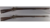 Two U.S. Military Contract Percussion Conversion Muskets