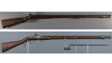 Two U.S. Martial Percussion Muskets
