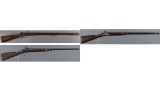 Three Antique Percussion Long Guns