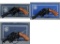 Three Smith & Wesson Double Action Revolvers with Boxes