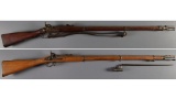 Two Martial Percussion Muskets