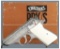 Engraved and Silver Plated Walther/Interarms PPK/S Pistol