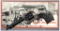 Colt Second Generation Single Action Army Revolver with Box