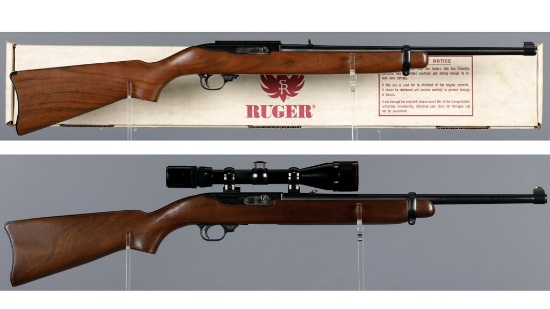 Two Ruger Semi-Automatic Sporting Rifles